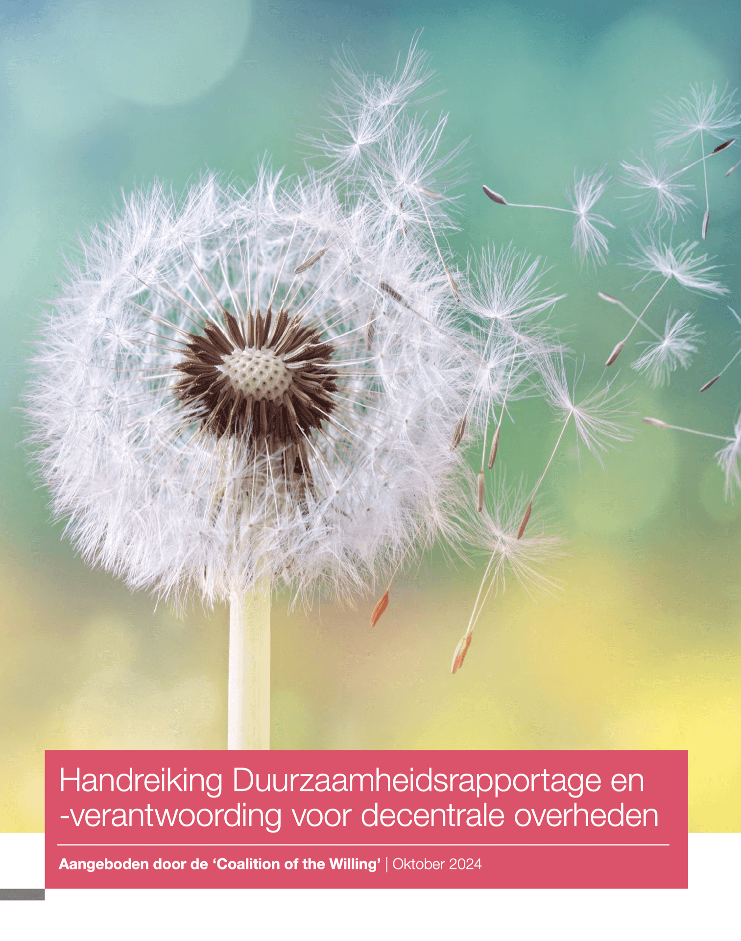 Handreiking Duurzaamheidsrapportage en -verantwoording voor decentrale overheden