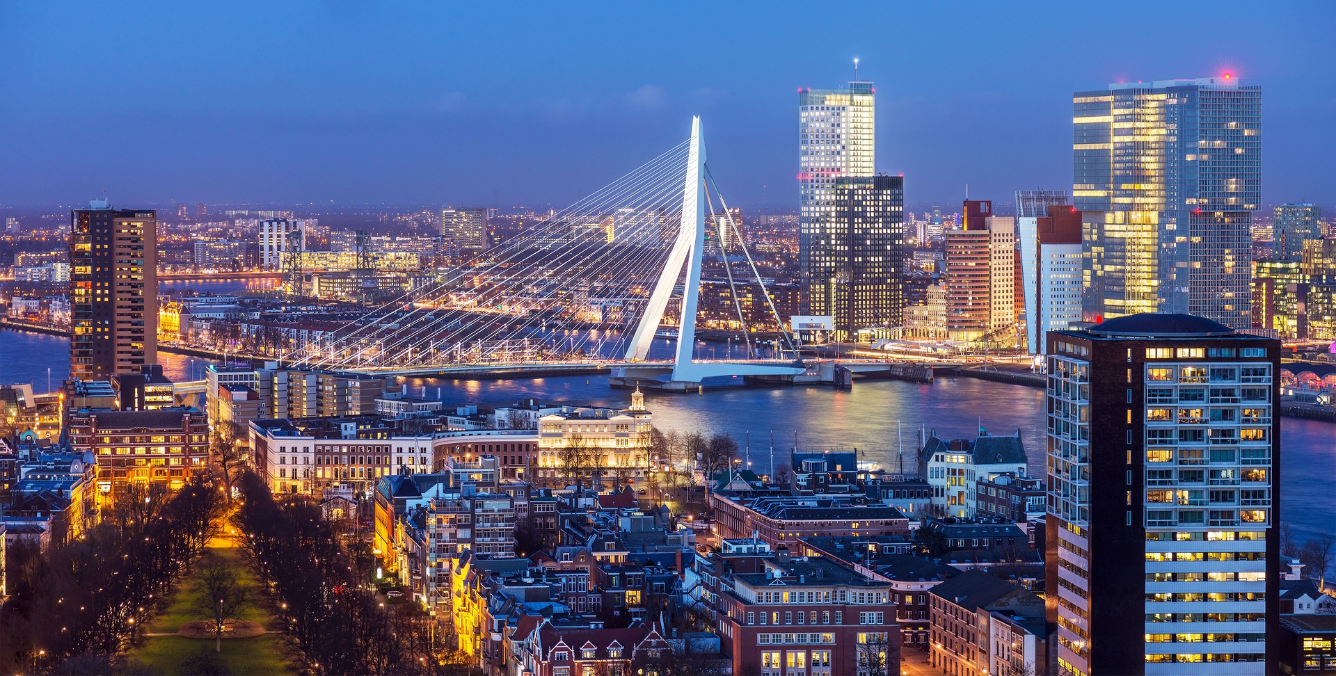skyline van rotterdam met erasmusbrug als kantoorlocatie voor publieke sector accountants